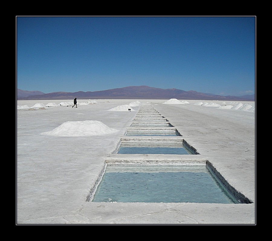 "Atravesando el desierto de sal" de Silvia Chamorro