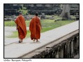 El camino de los monjes...
