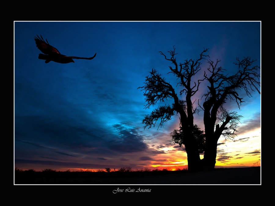"amanecer 1" de Jose Luis Anania