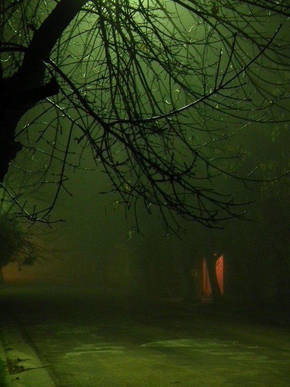 "Niebla en la ciudad" de Juan Fco. Fernndez