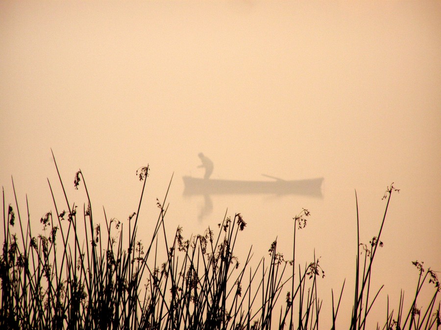 "Juncos pesca y niebla en el rio" de Alberto Matteo