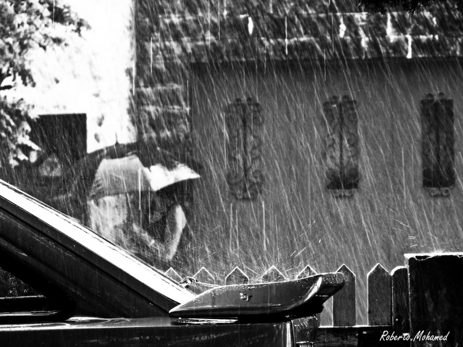 "Tarde lluviosa" de Roberto Amilcar Mohamed