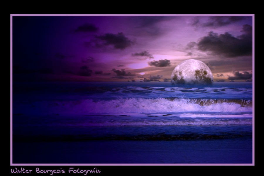 "La Luna y el Mar..." de Walter Bourgeois