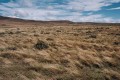 Patagonia, viento y soledad...