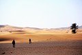 Camino al desierto