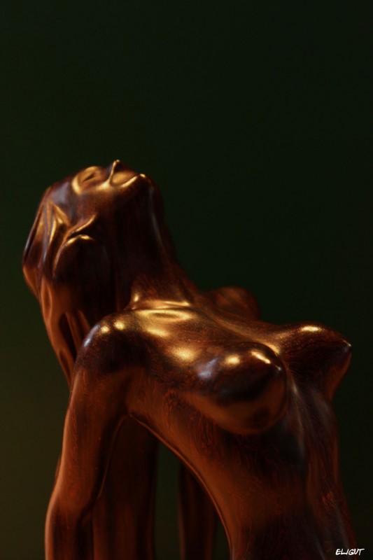 "Un duro desnudo II" de Elizabeth Gutirrez (eligut)