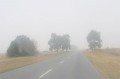 niebla en la ruta
