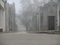 cementerio y niebla