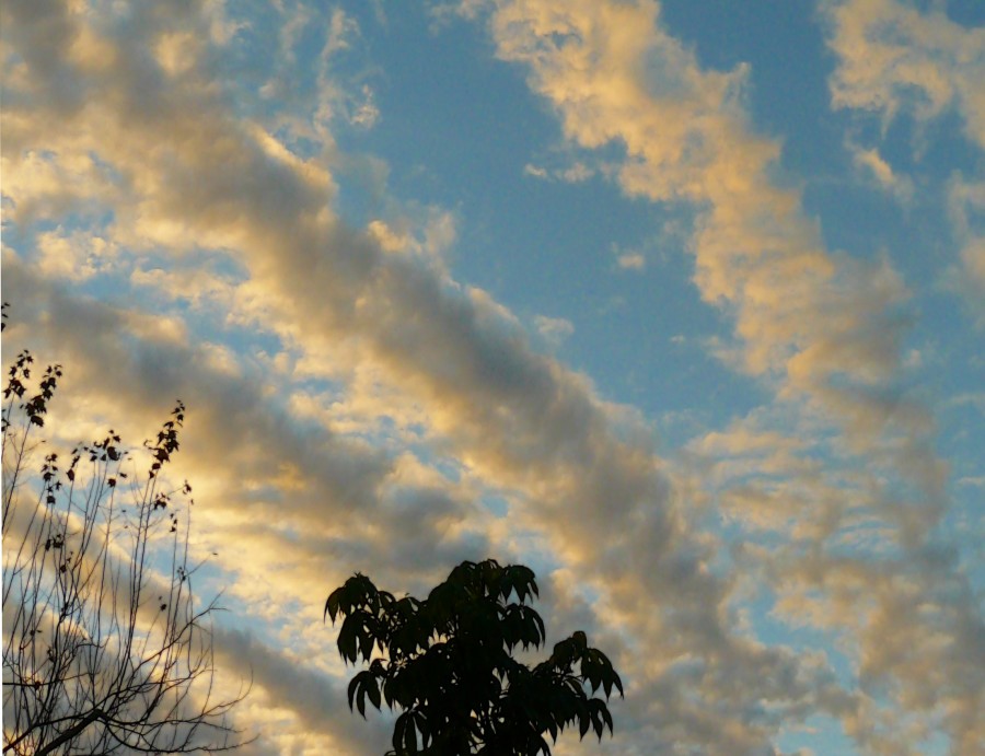 "Caprichosas nubes 1" de Nora Lilian Iturbide ( Noral )