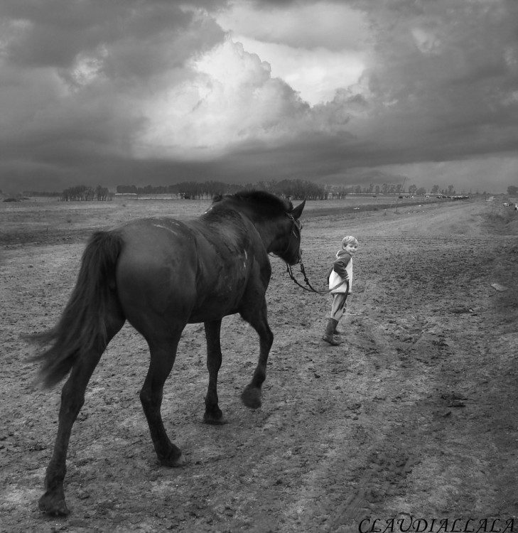 "El pequeo cuidador de caballos" de Claudia Alejandra Allala