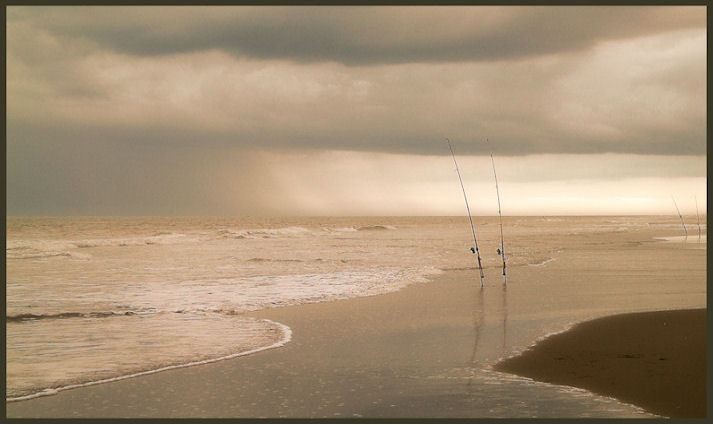 "Playa del Sur" de Jorge Muoz Graf