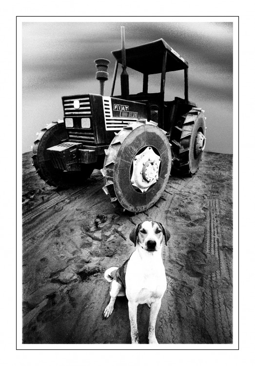 "Ensayo sobre tractor y can" de Hctor Julio Prez