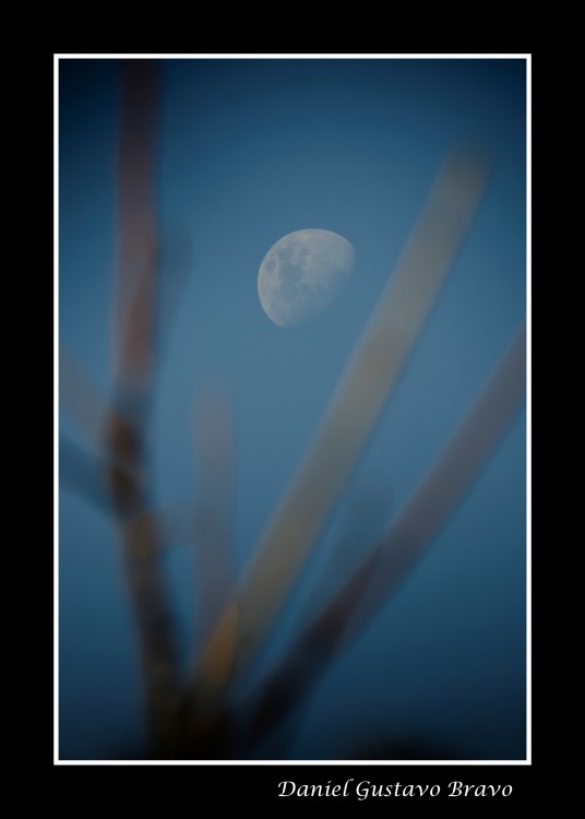 "Enfocndome en la luna" de Daniel Gustavo Bravo