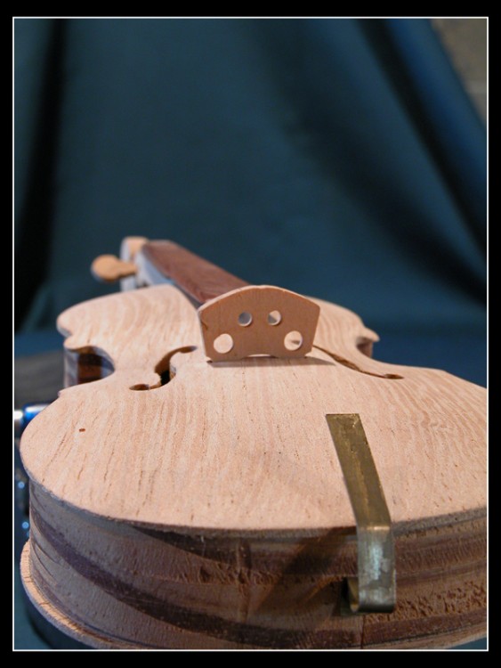 "El rincn del luthier" de Patricia Dreise