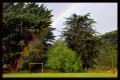 El arco iris, naci en mi jardn...