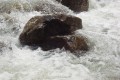 Piedras en el rio Mucujun.