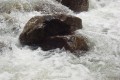 Piedras en el rio Mucujum.