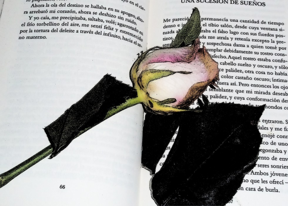 "`sencillamente romantica`" de Rosa Andrada