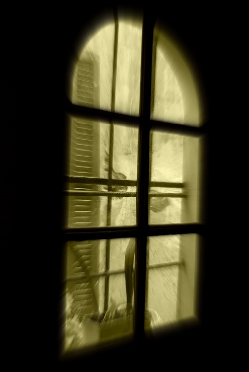 "A travs de la ventana" de Luis Santos
