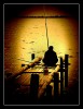 Pescador solitario