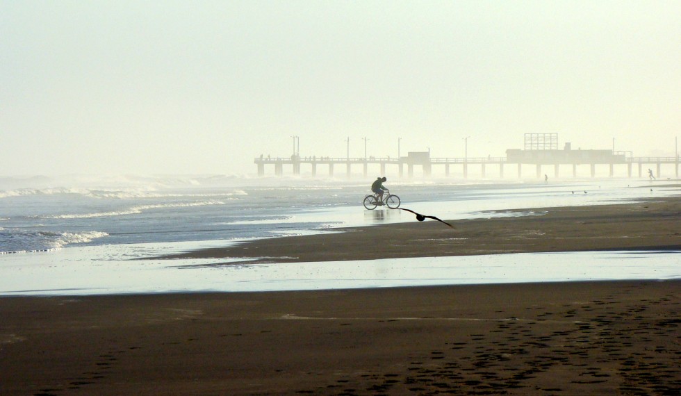 "ciclista del mar" de Francesca Rocco