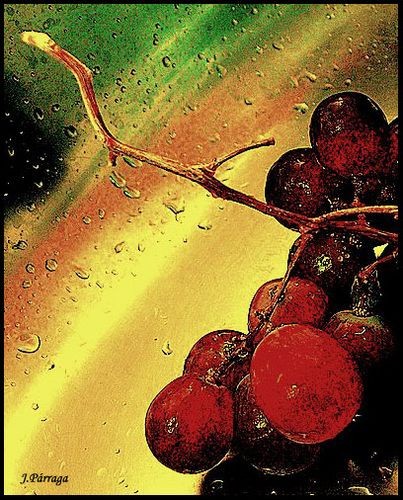 "Sabrosas uvas." de Javier Prraga
