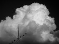 Nube pomposa