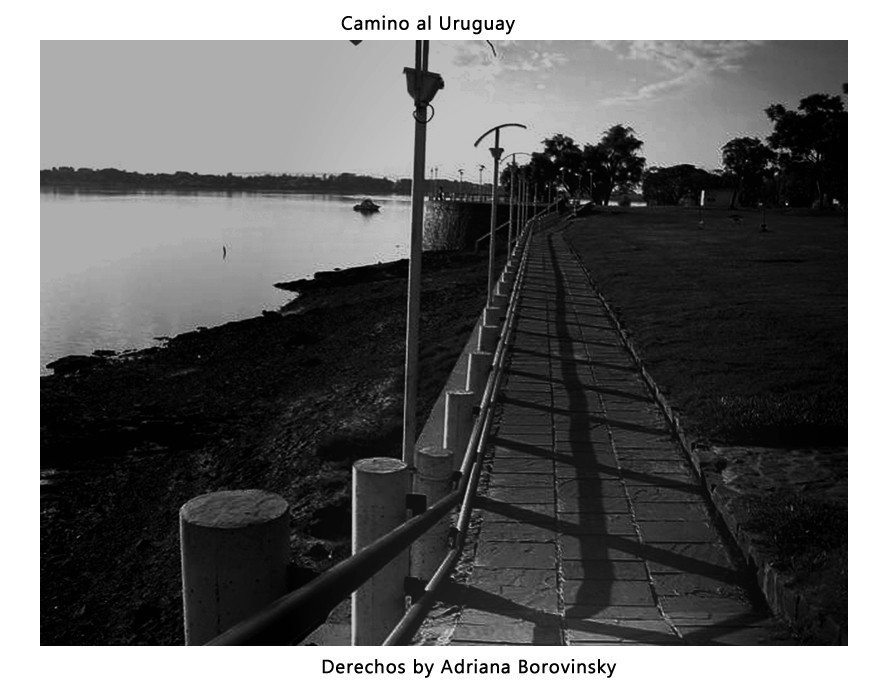 "Camino a Uruguay" de Adriana Borovinsky