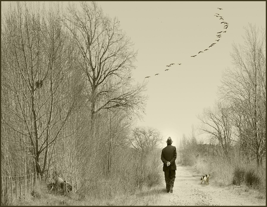 "El caminante" de Eli - Elisabet Ferrari