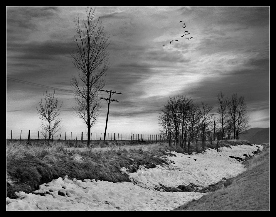 "Perspectiva con nieve" de Eli - Elisabet Ferrari