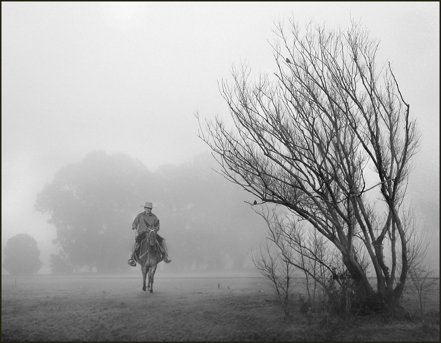 "Niebla matinal" de Eli - Elisabet Ferrari