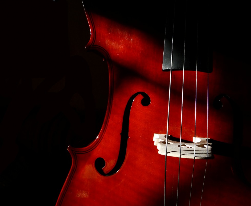 "1/2 violonchelo" de Virginia Rapallini