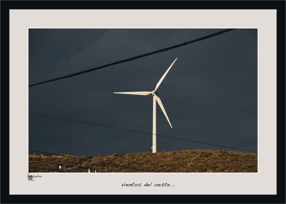 "Y el viento atrap...." de Gisele Burcheri