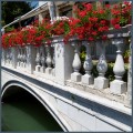 Puente florido en Venecia