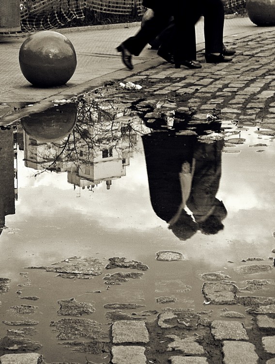 "Paseando despues de la lluvia" de Silvia Chamorro