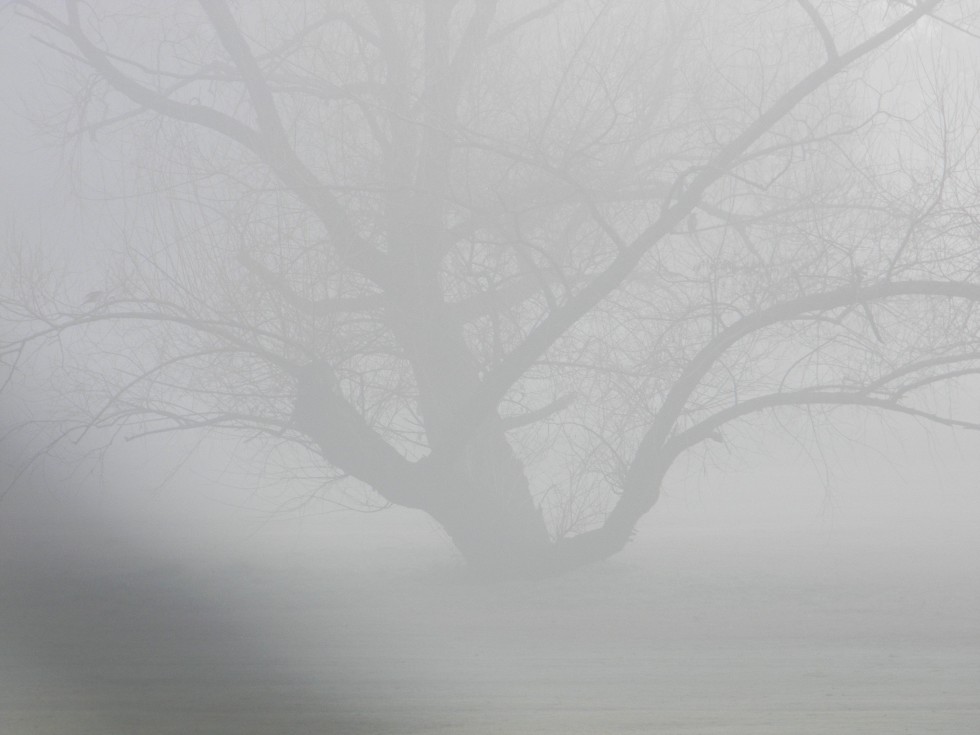 "Silueta en niebla" de Alberto Daniel Frete