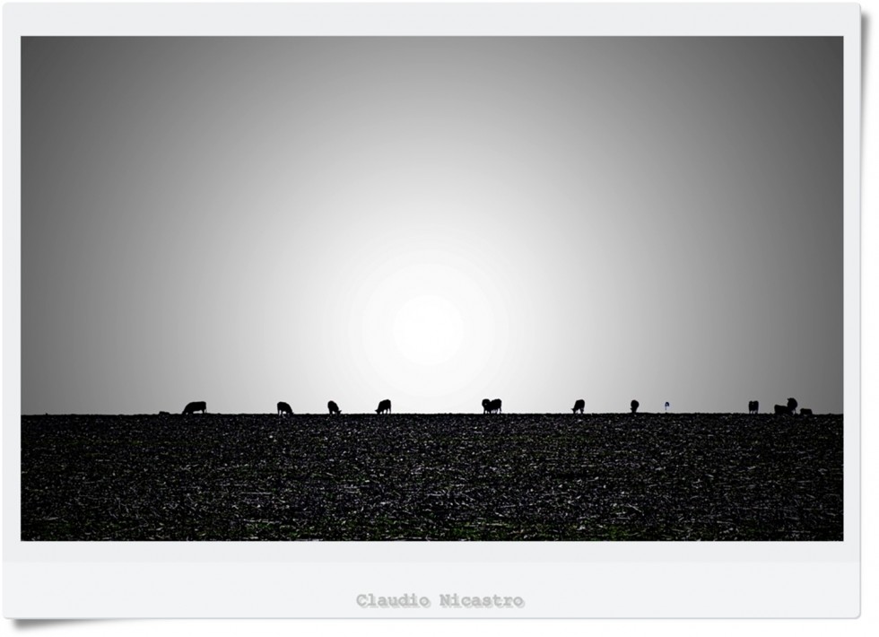 "Siluetas en el horizonte." de Claudio Nicastro