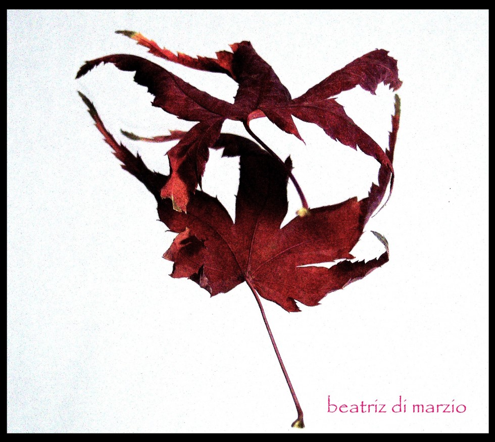 "la danza de las hojas" de Beatriz Di Marzio