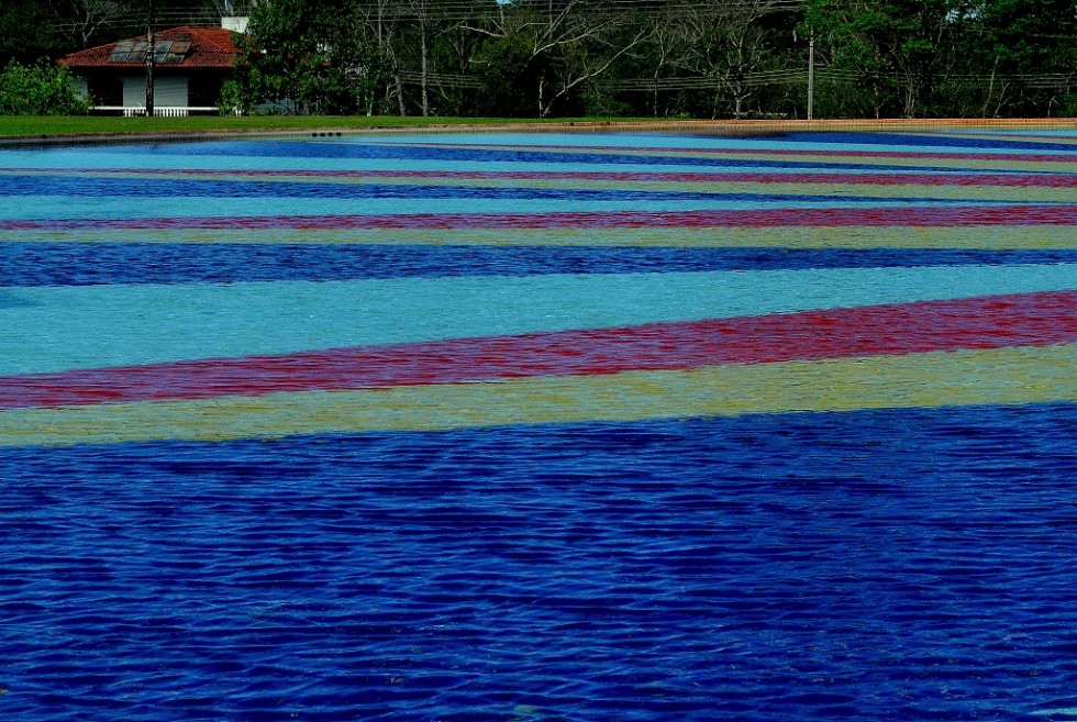 "agua coloreada" de Mercedes Orden