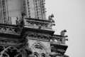 Los custodios de Notre Dame