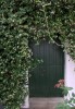 La puerta verde
