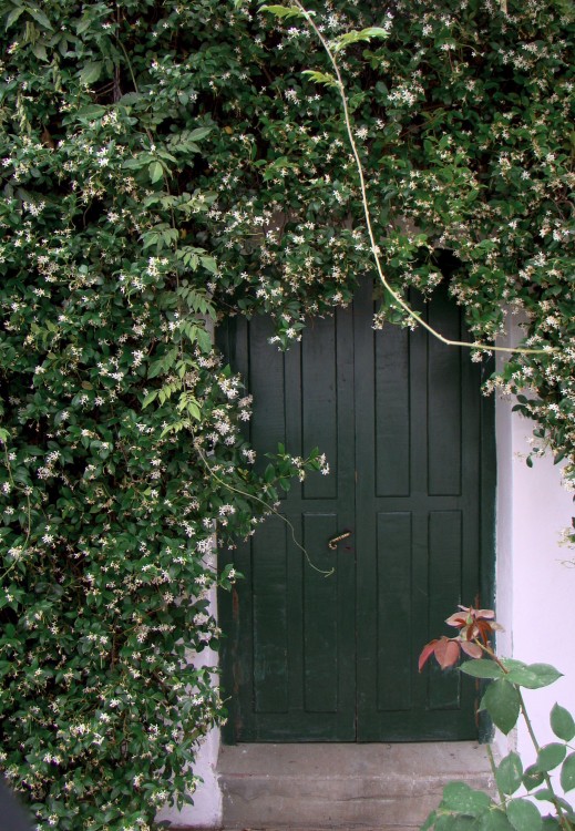 "La puerta verde" de Gaston E. Polese
