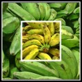 Banana Brasilera