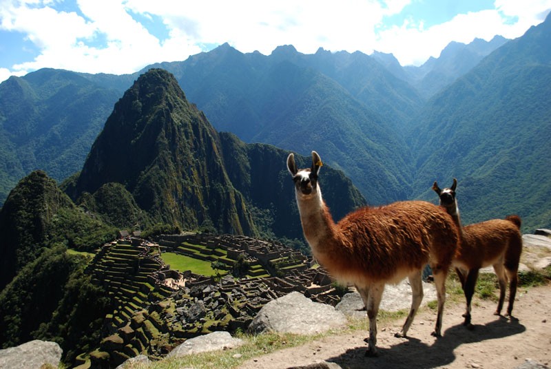 "Machu Picchu - Un clasico" de Osvaldo Sergio Gagliardi