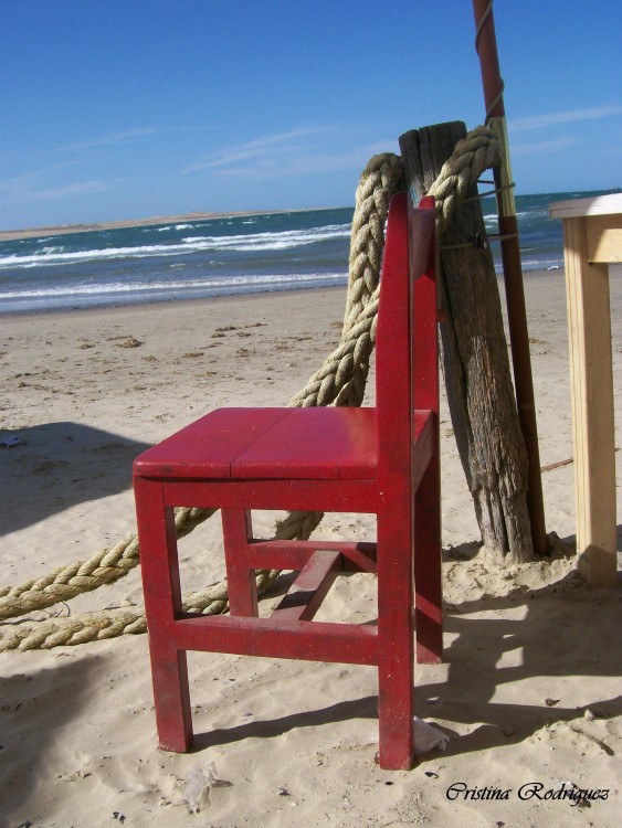 "La silla roja" de Cristina Beatriz Rodrguez