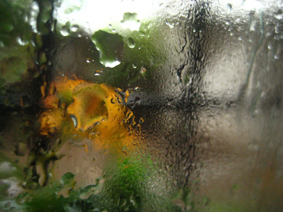 "lluvia.." de Alicia Tiziano