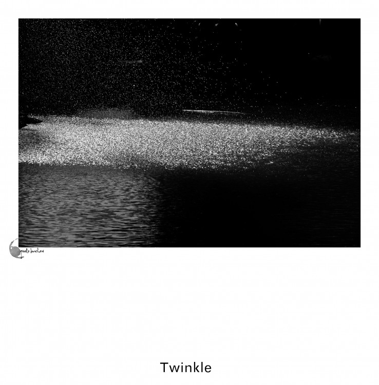 "`Twinkle`" de Gisele Burcheri