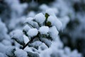 Nieve en otono `ayer`