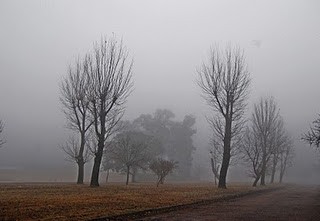 "Da de niebla II" de Ricardo H. Molinelli