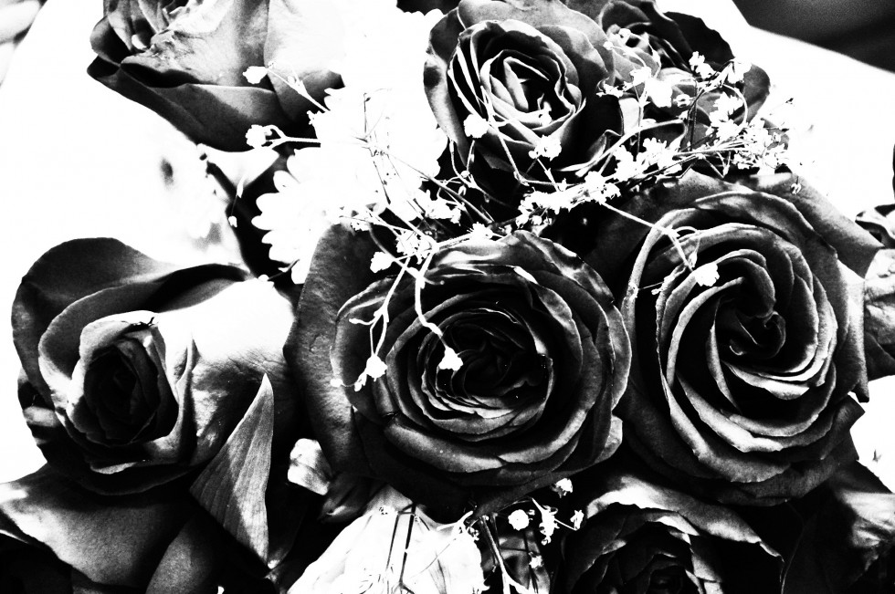 "Rosas Negras" de Nestor Ponce